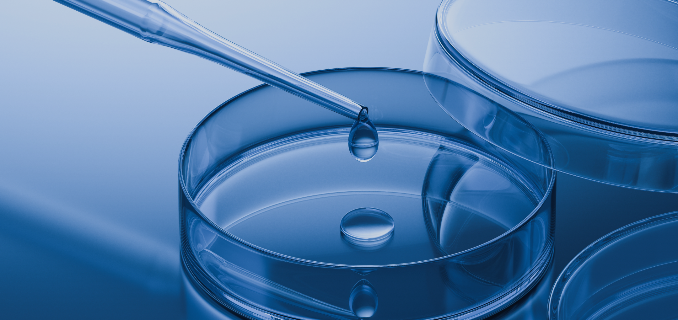 VCG211334148012 1 (1).png